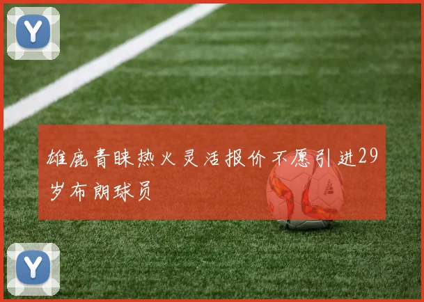 雄鹿青睐热火灵活报价不愿引进29岁布朗球员